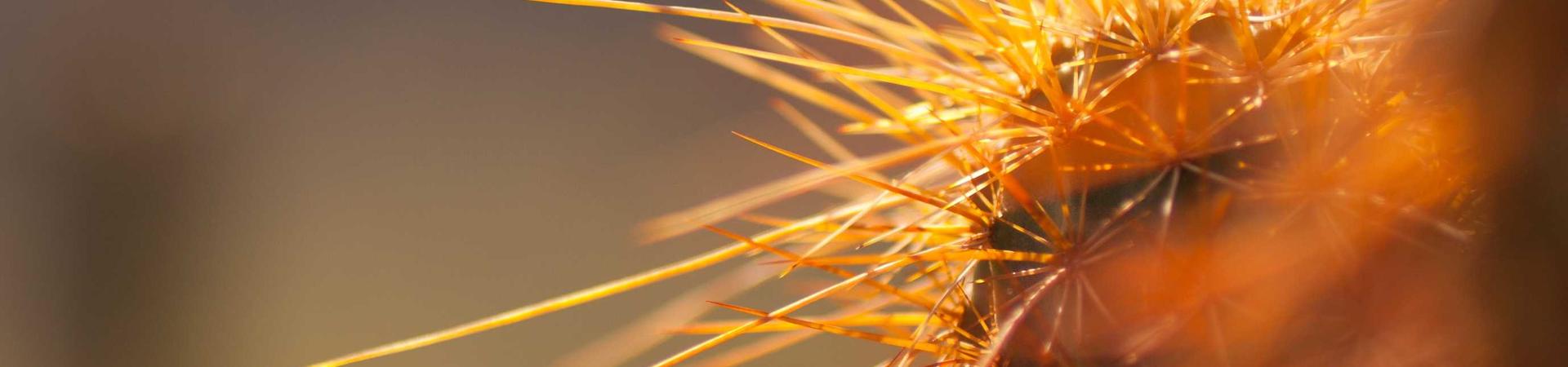 青岛轩念市政工程有限公司 &middot; 聊城运营中心